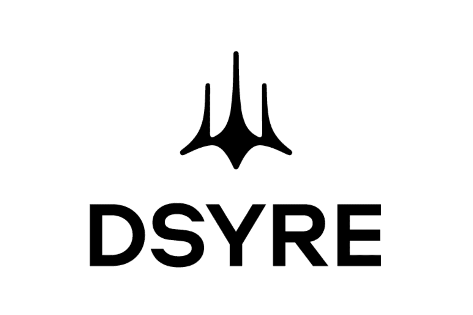DSYRE School